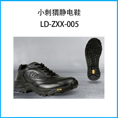 小刺猬静电鞋LD-ZXX-005