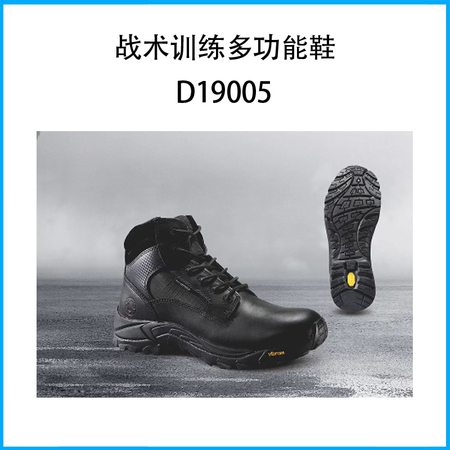 战术训练多功能鞋D19005